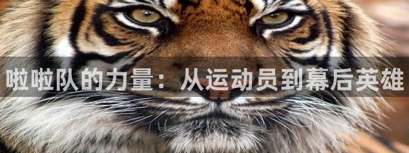 ug环球官网登录入口