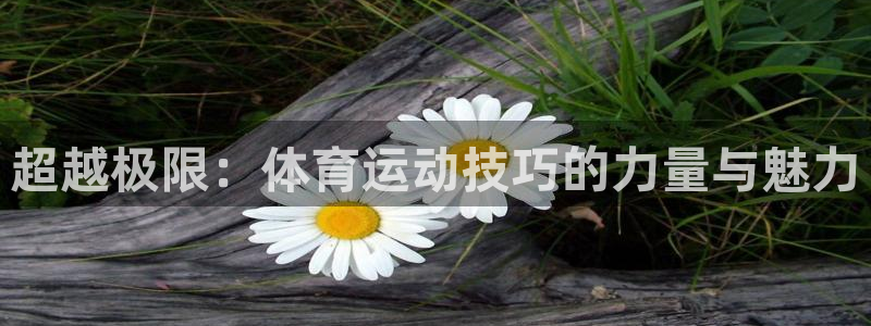 ug环球官网注册