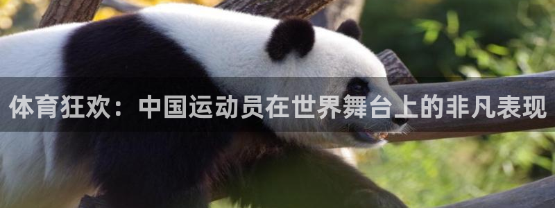 ug环球官网登录入口