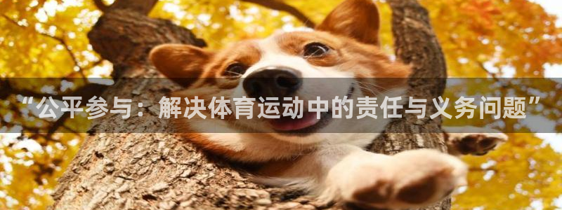 ug环球官网注册
