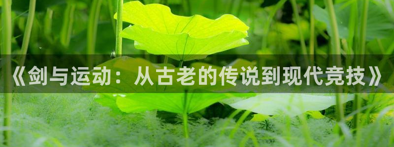ug环球官网注册