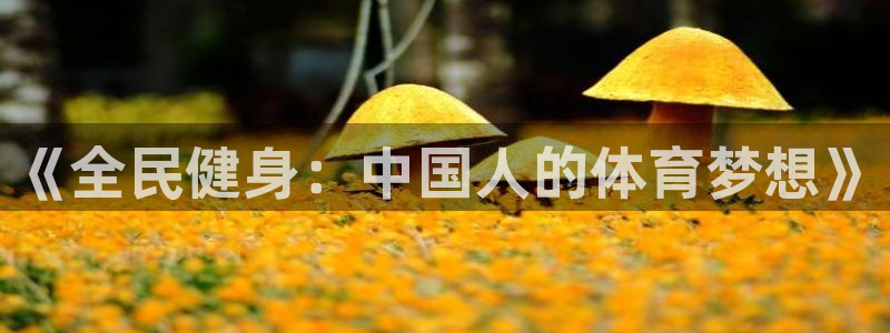 ug环球官网注册
