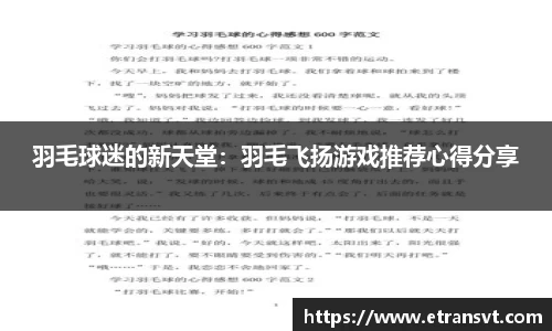 羽毛球迷的新天堂：羽毛飞扬游戏推荐心得分享