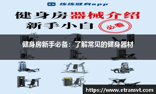 健身房新手必备：了解常见的健身器材