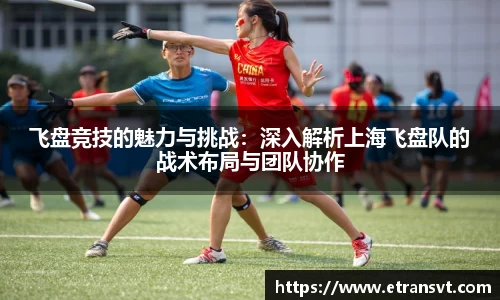 飞盘竞技的魅力与挑战：深入解析上海飞盘队的战术布局与团队协作